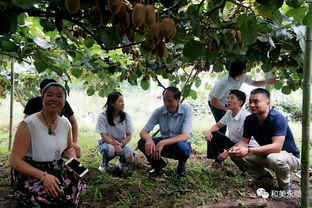 红星实业集团携手永顺县，开拓乡村果蔬农副产品销售新路径