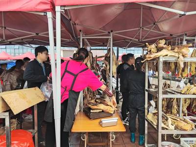 优质农副产品展销会 品味健康，共享丰收