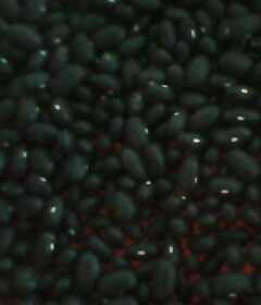 销售优质红小豆 日本红与农安红——世界工厂网农副产品优选