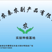 陕西农秦农副产品 连接绿色菌香与健康餐桌的专业桥梁