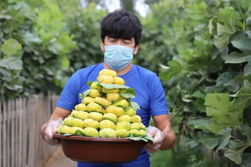 爱心助农丨网红经济新引擎，岳普湖特色食品香飘万里