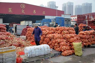 凝心聚力谋发展，食品销售谱新篇——洛阳市农副产品行业协会第二届会长首次座谈会侧记