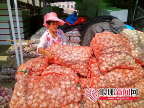 上半年临沂市市场主要农副产品价格整体平稳 食品销售呈稳中有升态势