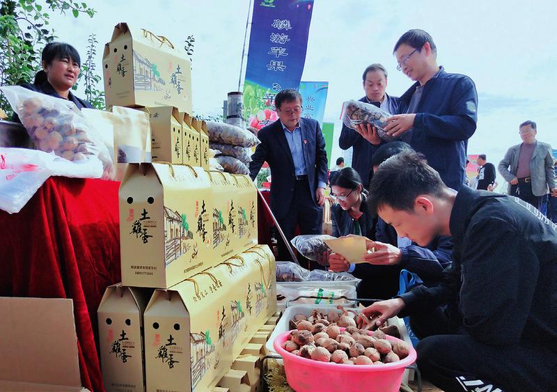 线上线下齐发力 食品销售再现火爆盛况